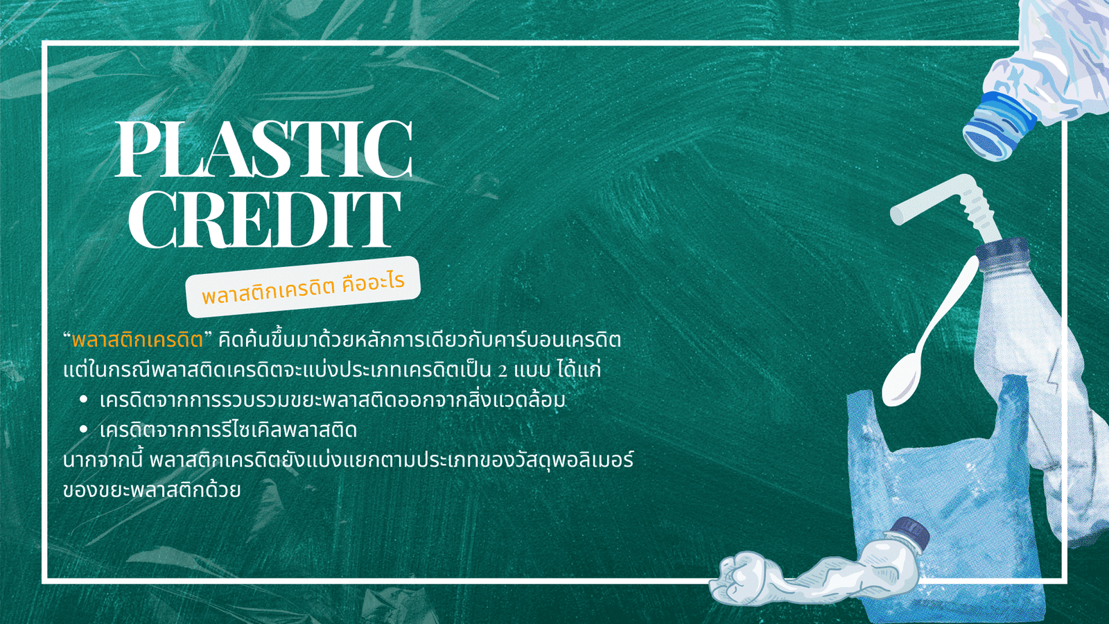 Plastic Credit Infographic